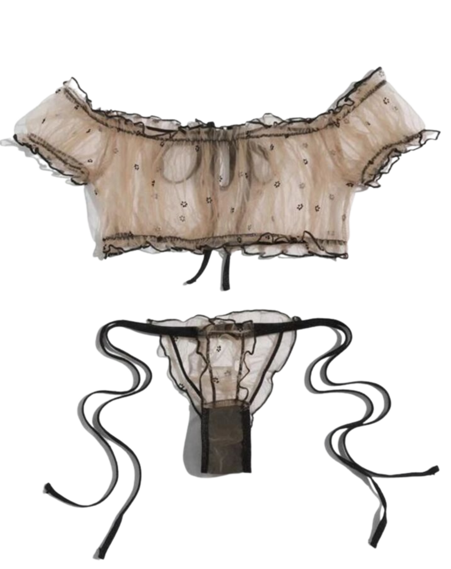 Bikini Mesh Crop top with Strappy Thong